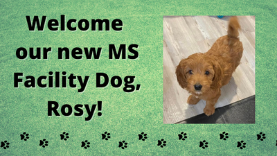 Welcome our new MS Facility Dog, Rosy! 