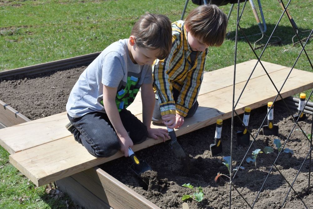 Students digging in garden bed