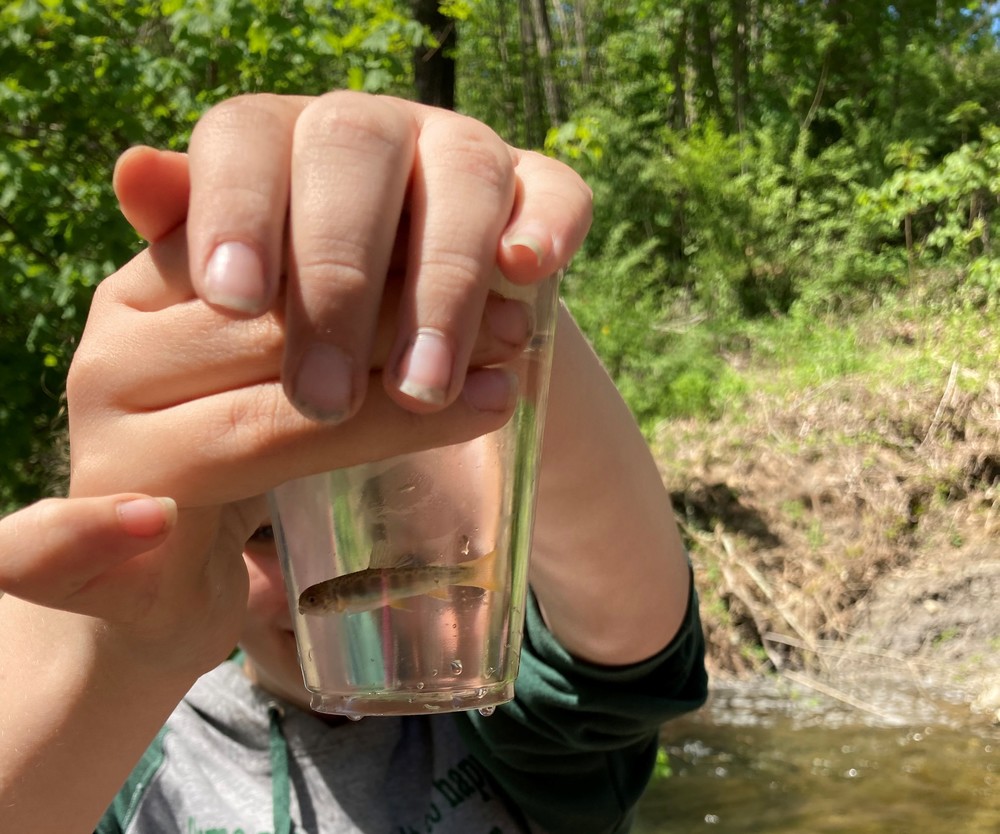 PBC Student Holding a Trout in a cup 