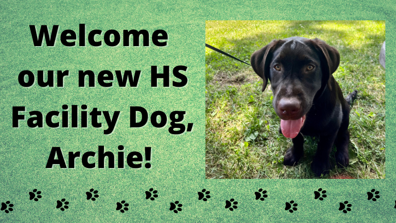 Welcome our new HS Facility Dog, Archie! 